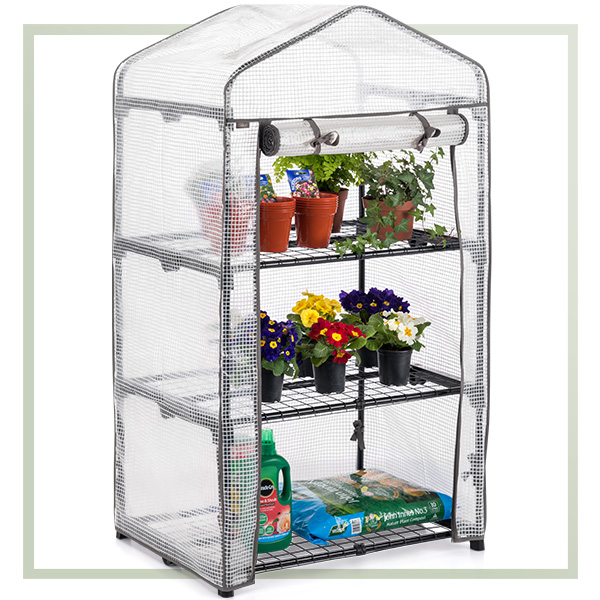 Christow 3 Tier Greenhouse is perfect for starting off your seedlings and growing your own in spring.